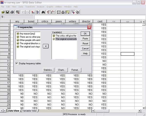 Statistics Software For Windows